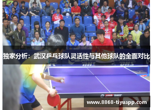 独家分析：武汉乒乓球队灵活性与其他球队的全面对比